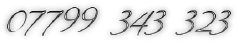 stevenewing002028.jpg