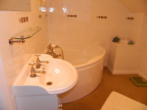 stevenewing009022.jpg